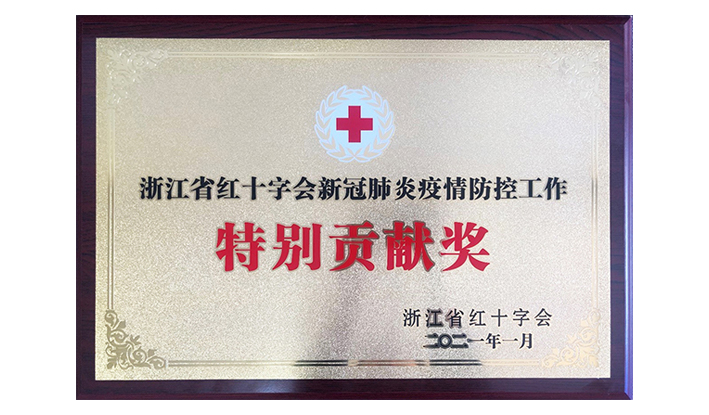 浙江省红十字会授予凯时尊龙官网“新冠疫情防控特殊孝顺奖”