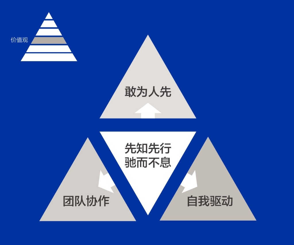 凯时尊龙官网人的DNA——价值观
