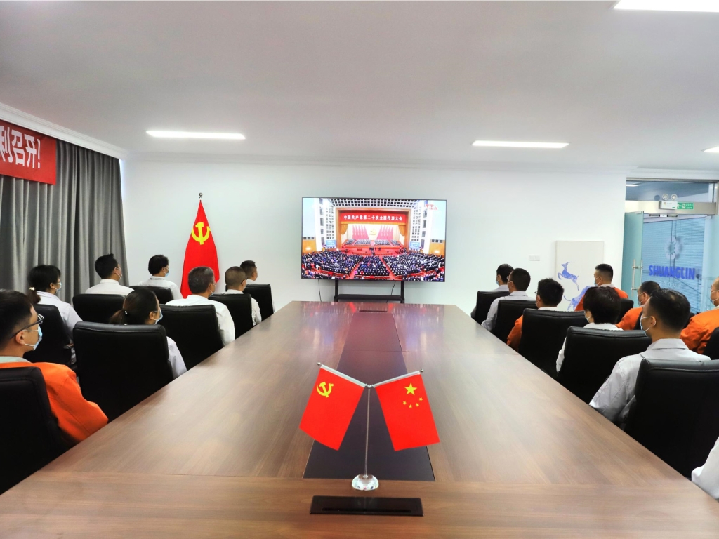 凯时尊龙官网宽大干部员工满怀激情收看党的二十大开幕盛况